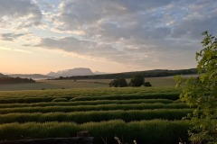 Eerste licht
